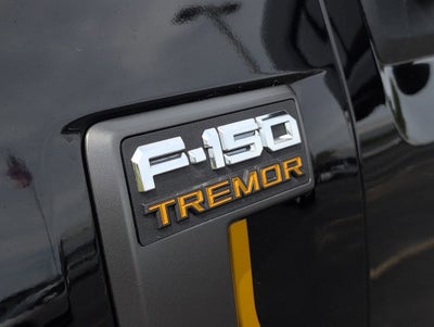 2024 Ford F-150 Tremor
