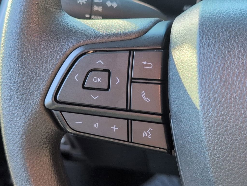 2025 Toyota Sienna LE